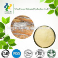 Birch Leaf Extract P.E Betula Alba Extract